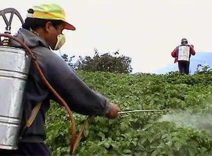 Controle Integrado de Pragas